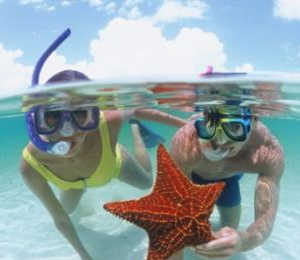 Snorkeling in the Bahamas